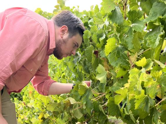 2023 Viticulture Syngenta Learning Centre - Kuitpo