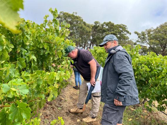 2023 Viticulture Syngenta Learning Centre - Kuitpo