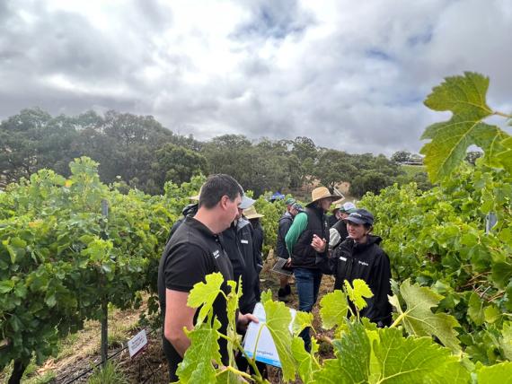 2023 Viticulture Syngenta Learning Centre - Kuitpo