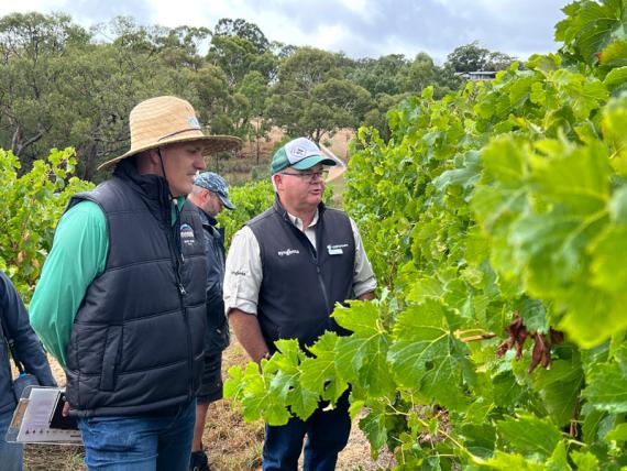 2023 Viticulture Syngenta Learning Centre - Kuitpo