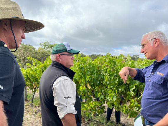 2023 Viticulture Syngenta Learning Centre - Kuitpo