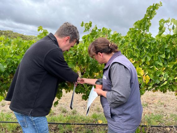 2023 Viticulture Syngenta Learning Centre - Kuitpo