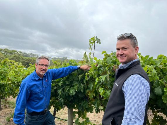 2023 Viticulture Syngenta Learning Centre - Kuitpo