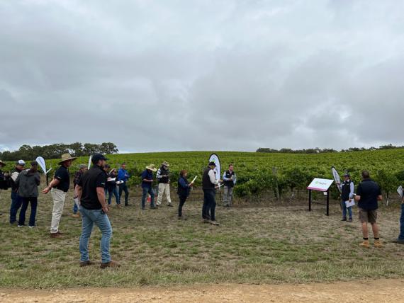 2023 Viticulture Syngenta Learning Centre - Kuitpo