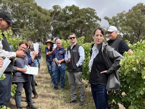 2023 Viticulture Syngenta Learning Centre - Kuitpo