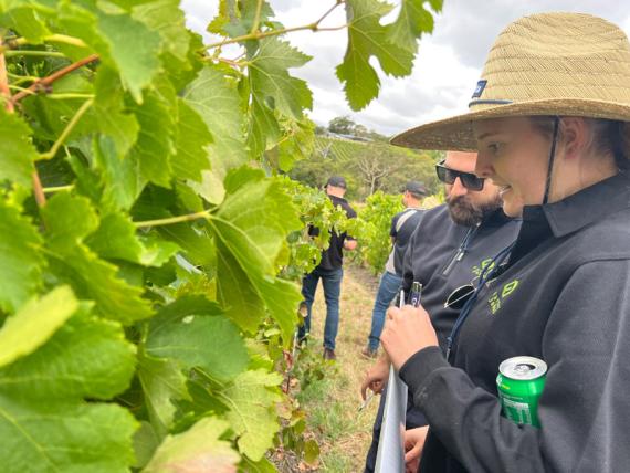 2023 Viticulture Syngenta Learning Centre - Kuitpo