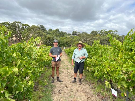 2023 Viticulture Syngenta Learning Centre - Kuitpo