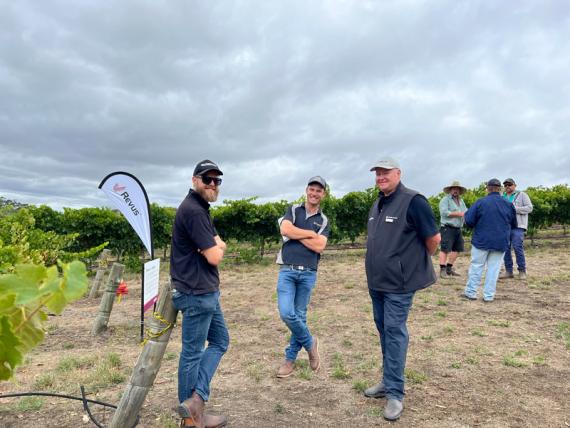 2023 Viticulture Syngenta Learning Centre - Kuitpo