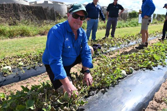 GrowMore 2024 Bundaberg