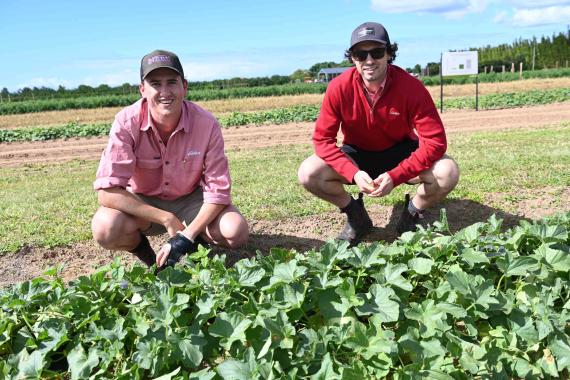 GrowMore 2024 Bundaberg