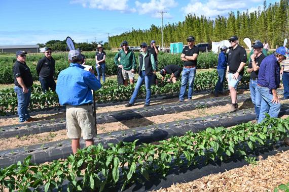 GrowMore 2024 Bundaberg