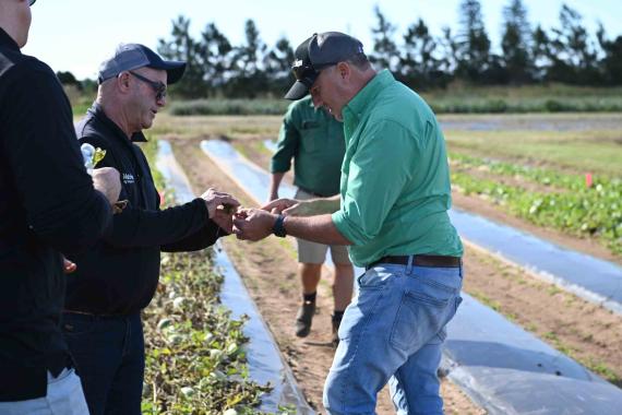 GrowMore 2024 Bundaberg