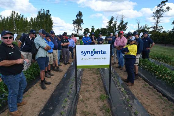 GrowMore 2024 Bundaberg