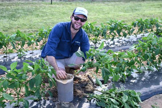 GrowMore 2024 Bundaberg