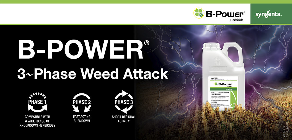 B-Power 3 Phase Weed Attack