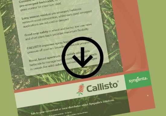 CALLISTO Benefits Guide