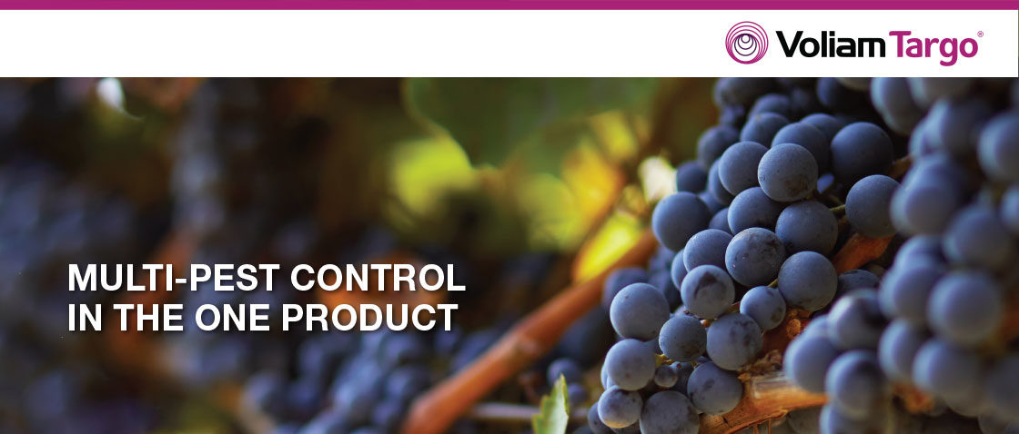 voliam-targo-viticulture-product-header
