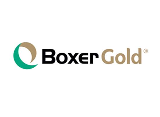 Boxer Gold logo