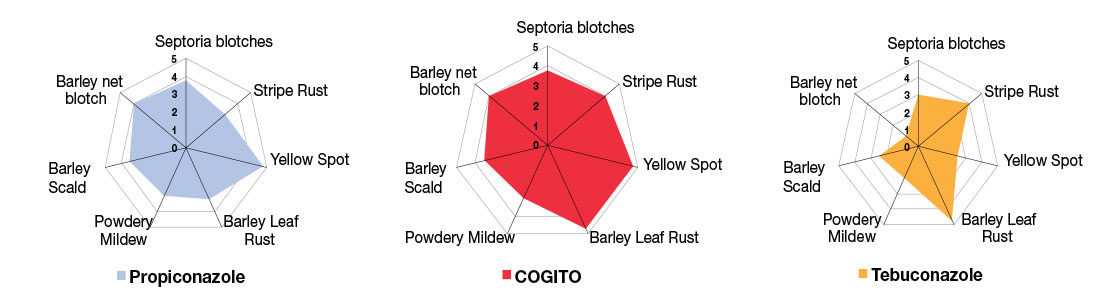 Cogito spider chart