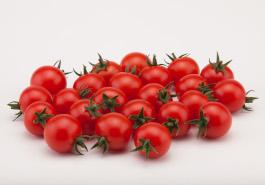Robinson tomato