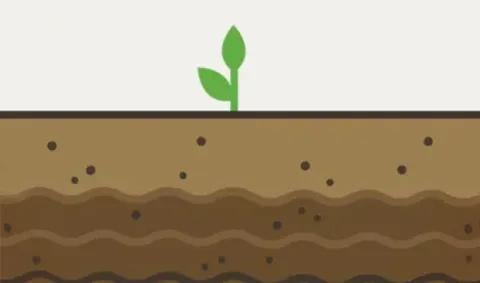 biologicals agriculture Nutrient use efficiency products