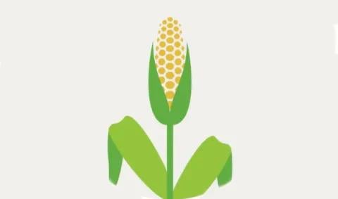 biologicals agriculture biostimulants