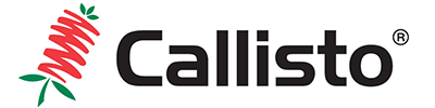 Callisto logo