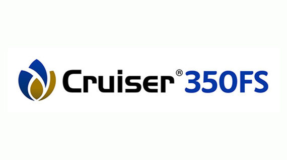 Cruiser 350FS