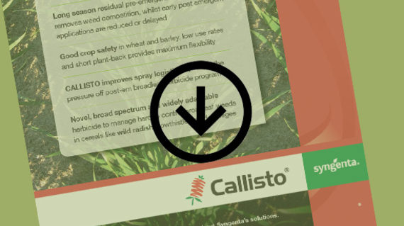 CALLISTO Benefits Guide