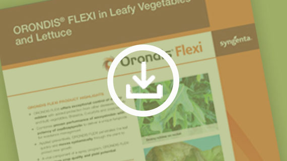 orondis-flexi-leafy-vegetable-technote_page-teaser