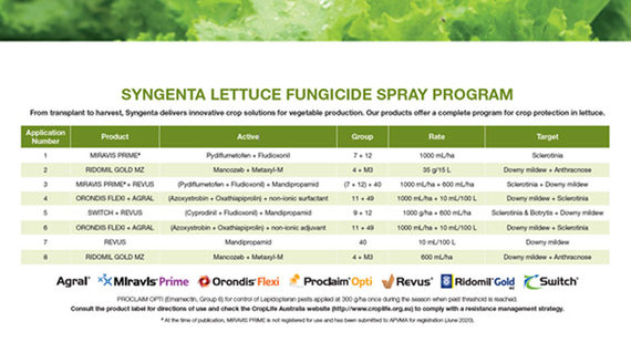 lettuce-spray-program_small-teaser2