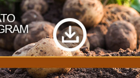 potato-crop-program_large-teaser2