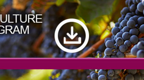 viticulture-program_large-teaser