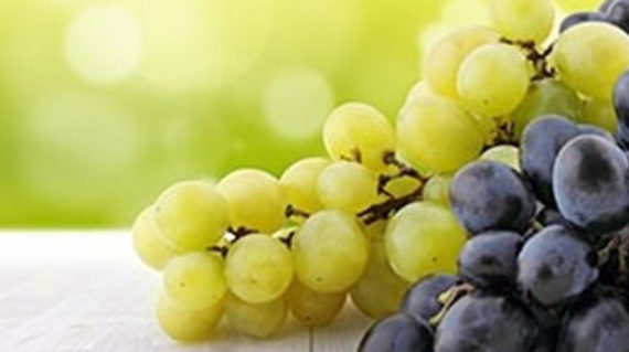 grapes_large-teaser