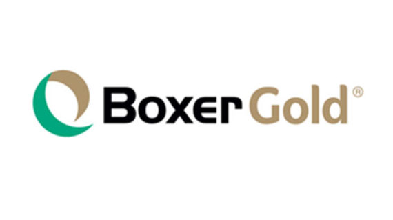 Boxer Gold logo