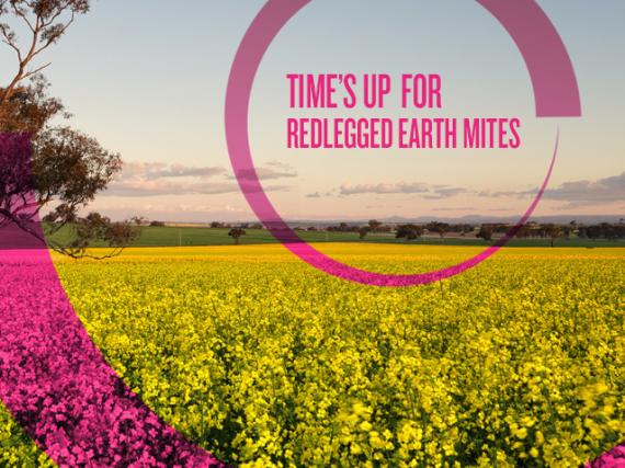 EQUENTO® Extreme | Seed treatment