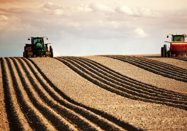 field with two tractors preparing crops 