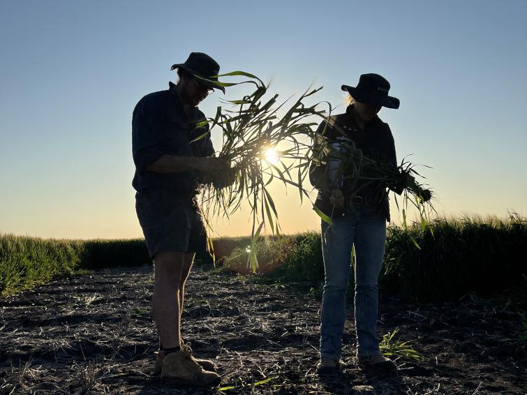 Field Trials Across Australia | Latest Innovations Demo