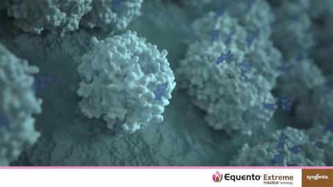 EQUENTO® Extreme | Seed treatment