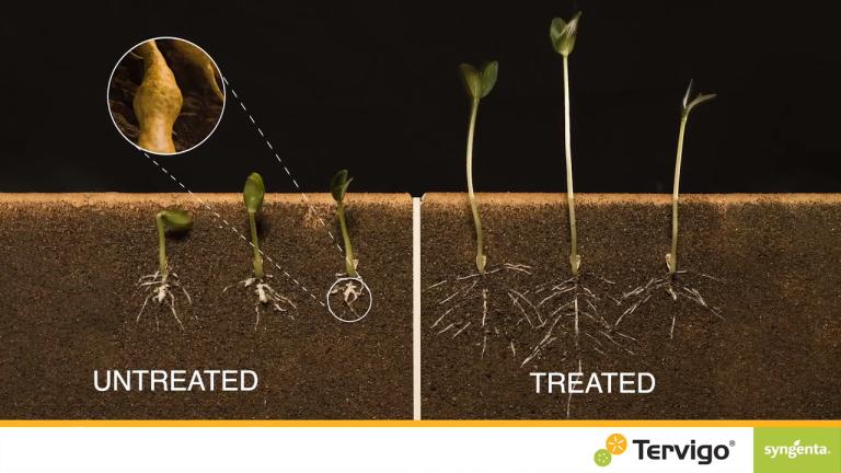 Control root knot nematodes with TERVIGO