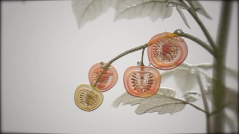 How ADEPIDYN™ inhibits target spot enzyme