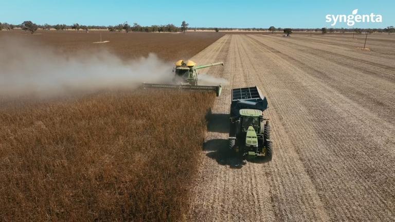 Growing pulse crops without broadleaf blowouts key for Neville 