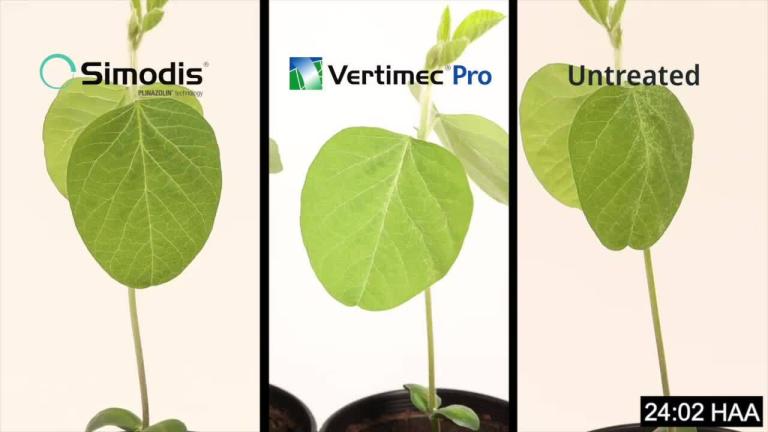SIMODIS® & VERTIMEC® Pro
