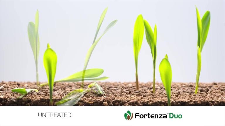 FORTENZA® Duo treated vs untreated feeding activity