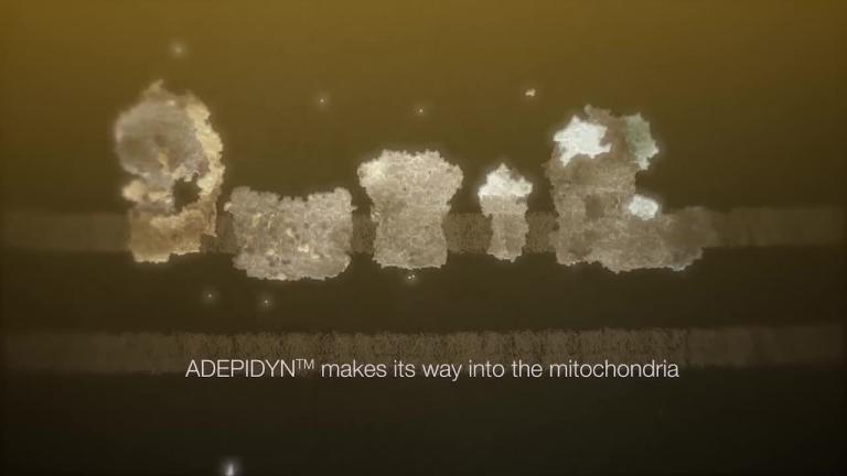 ADEPIDYN™ Mode of Action 