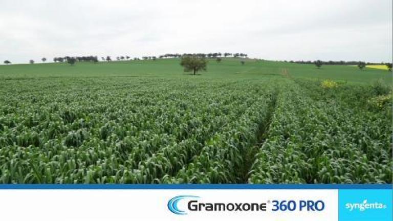 Gramoxone 360 Pro