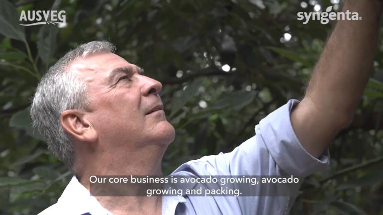 Avocado innovators reflect on being Syngenta Grower of the Year 2022 - Donovan Group
