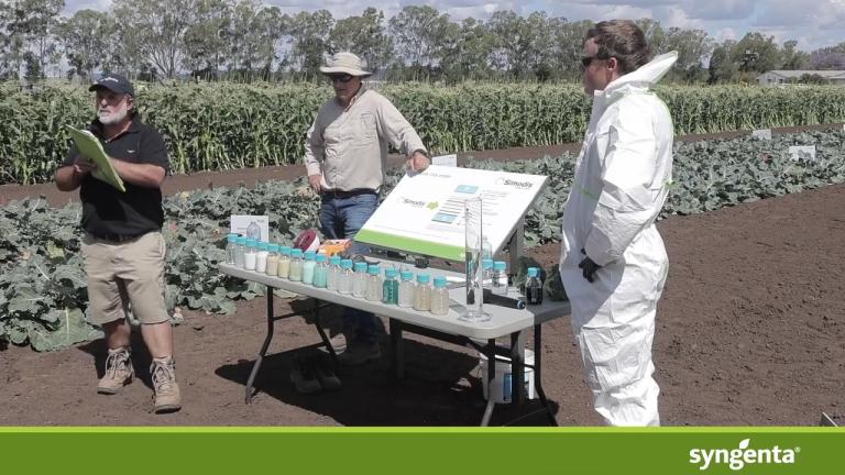 SIMODIS® insecticide compatibility and dispersion