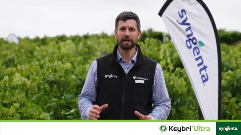 KEYBRI® Ultra, powerful, new downy mildew control  