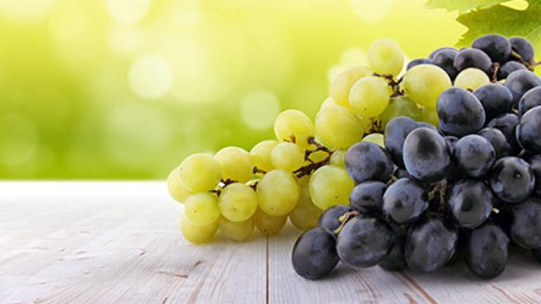 Green and black grape bunches on white wooden surface with blurred vineyard background